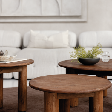 Dino Coffee Table Set of 3