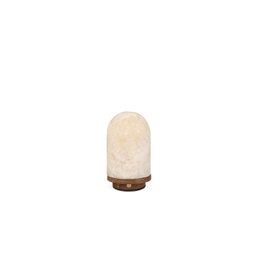 Onyx Bullet Light - LED