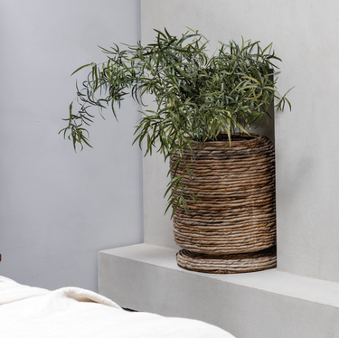 Cone Cover Pot