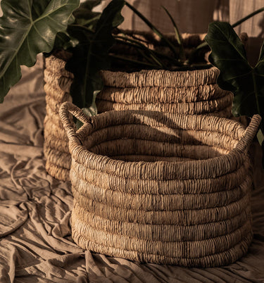 Caterpillar Sago Rectangular Basket - Set of 2