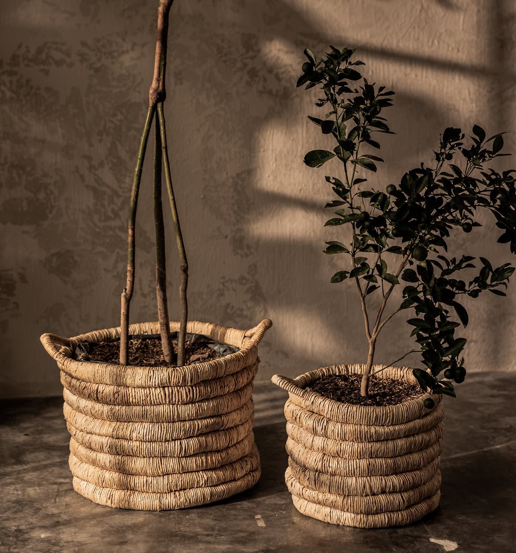 Caterpillar Sago Round Basket